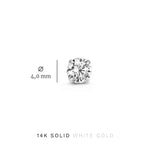 Dara - Earring Set
