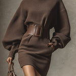 BLETHE WOMEN'S DARK BROWN VERSATILE MINI DRESS